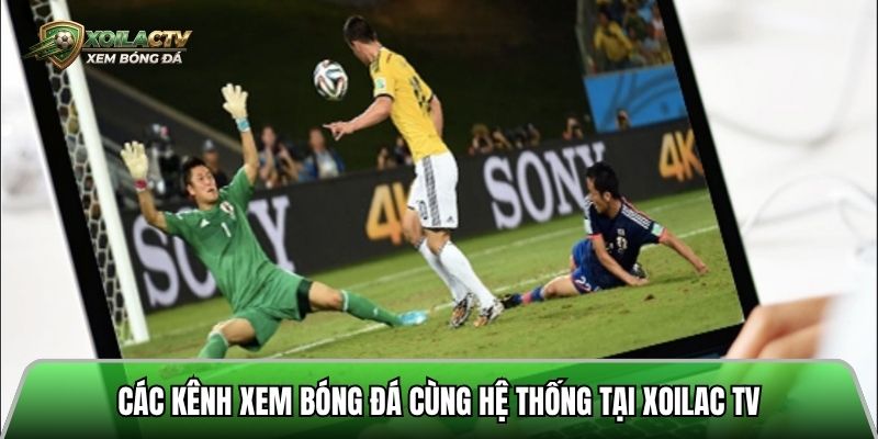 Các kênh xem bóng đá cùng hệ thống tại xoilac tv