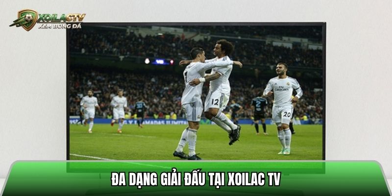 Đa dạng giải đấu tại xoilac tv