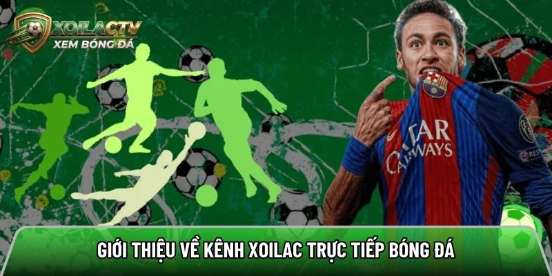 Giới thiệu về kênh xem bóng đá hàng đầu 2026