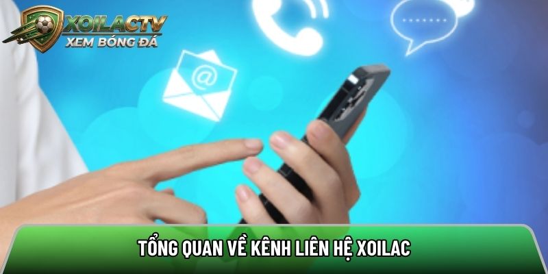 Kênh liên hệ được người dùng đánh giá cực cao