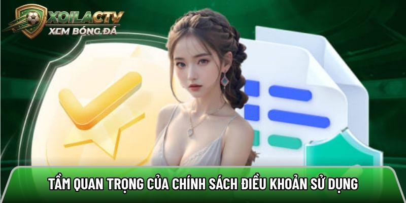 Lý do kênh cần có các quy định và chính sách về điều khoản sử dụng
