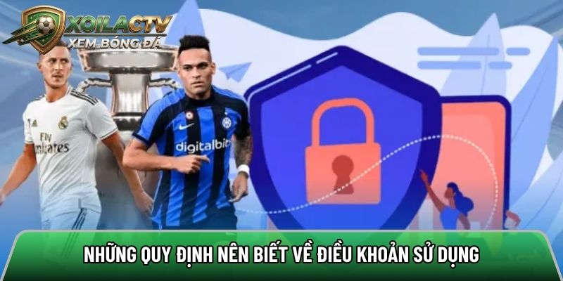 Nội dung chính được đề cập trong chính sách điều khoản